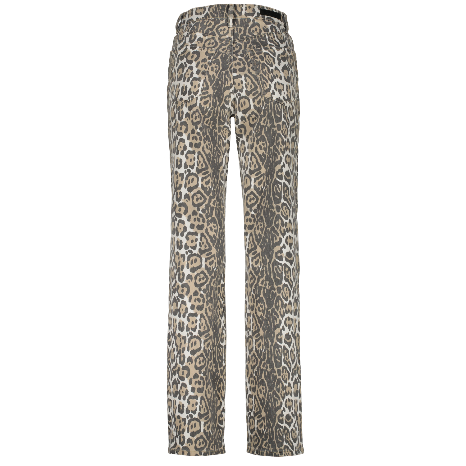 Raizzed Savanna leopard